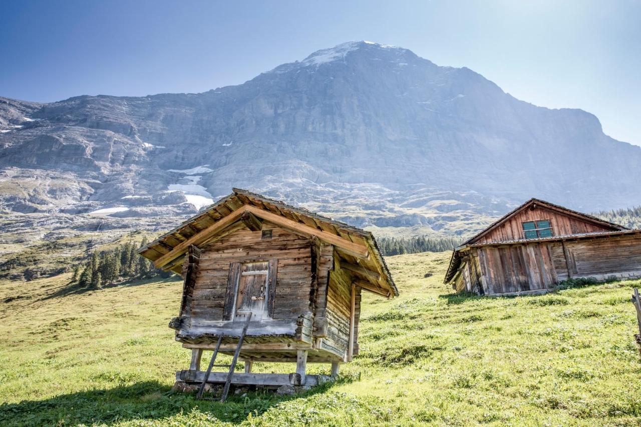 Aspen Alpine Lifestyle Hotel Grindelwald Exterior foto